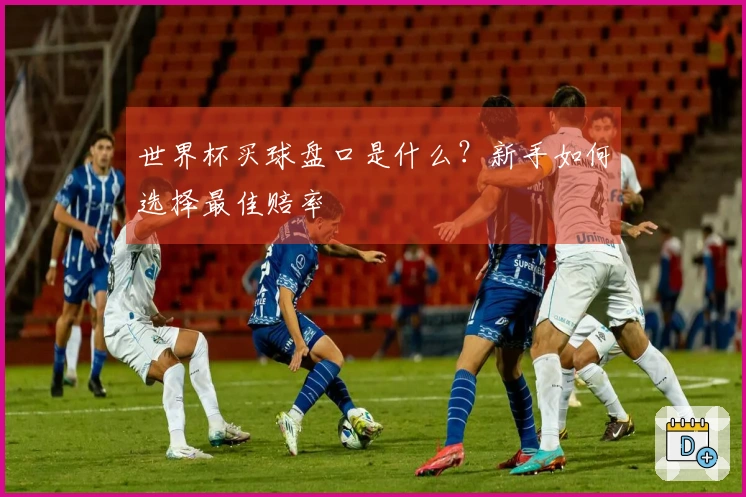 世界杯买球盘口是什么？新手如何选择最佳赔率
