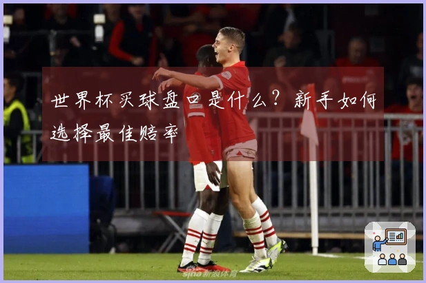 世界杯买球盘口是什么？新手如何选择最佳赔率