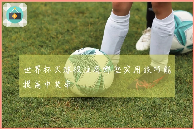世界杯买球投注有哪些实用技巧能提高中奖率