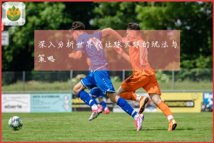 深入分析世界杯让球买球的玩法与策略